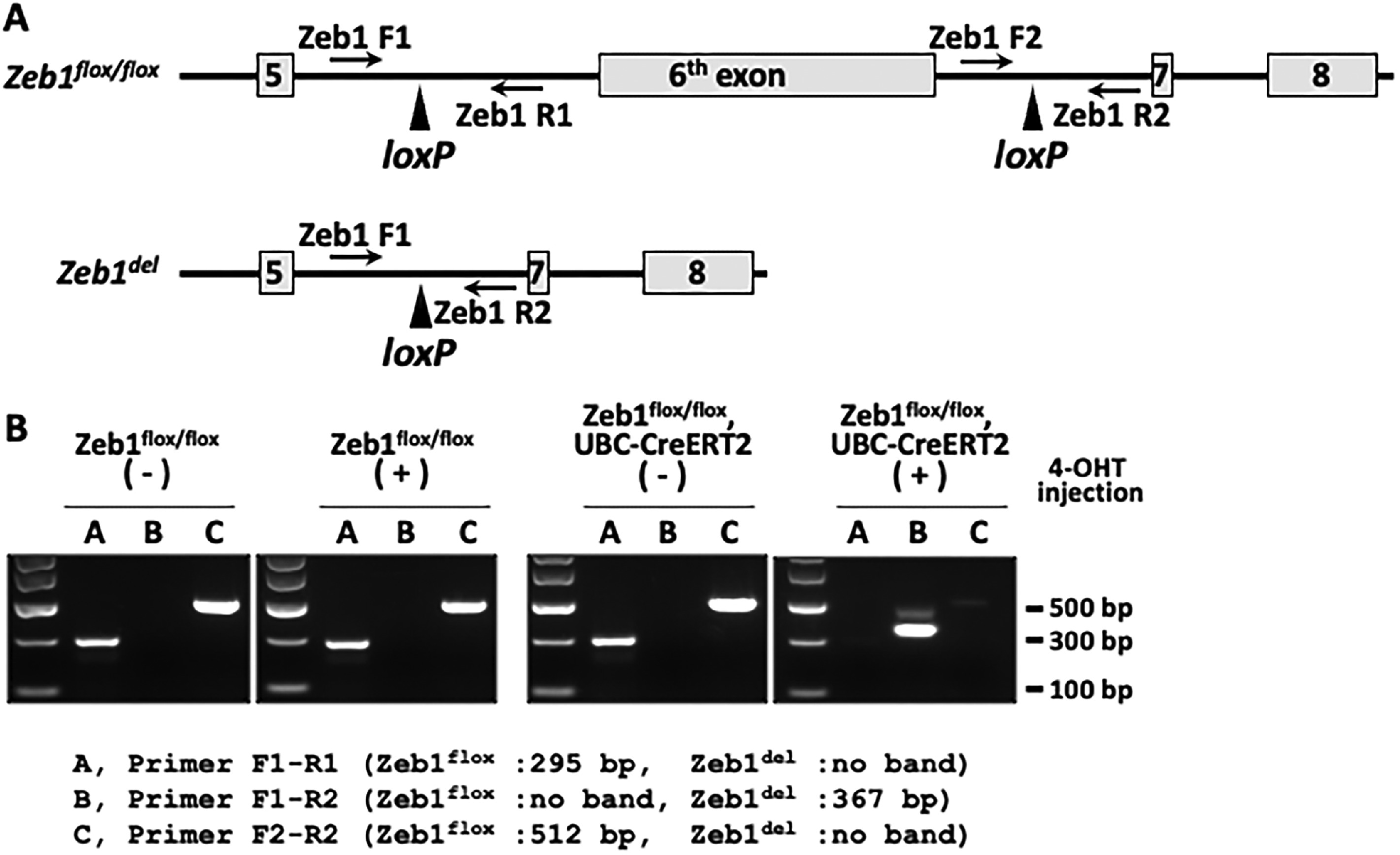 FIGURE 1 dummy alt text