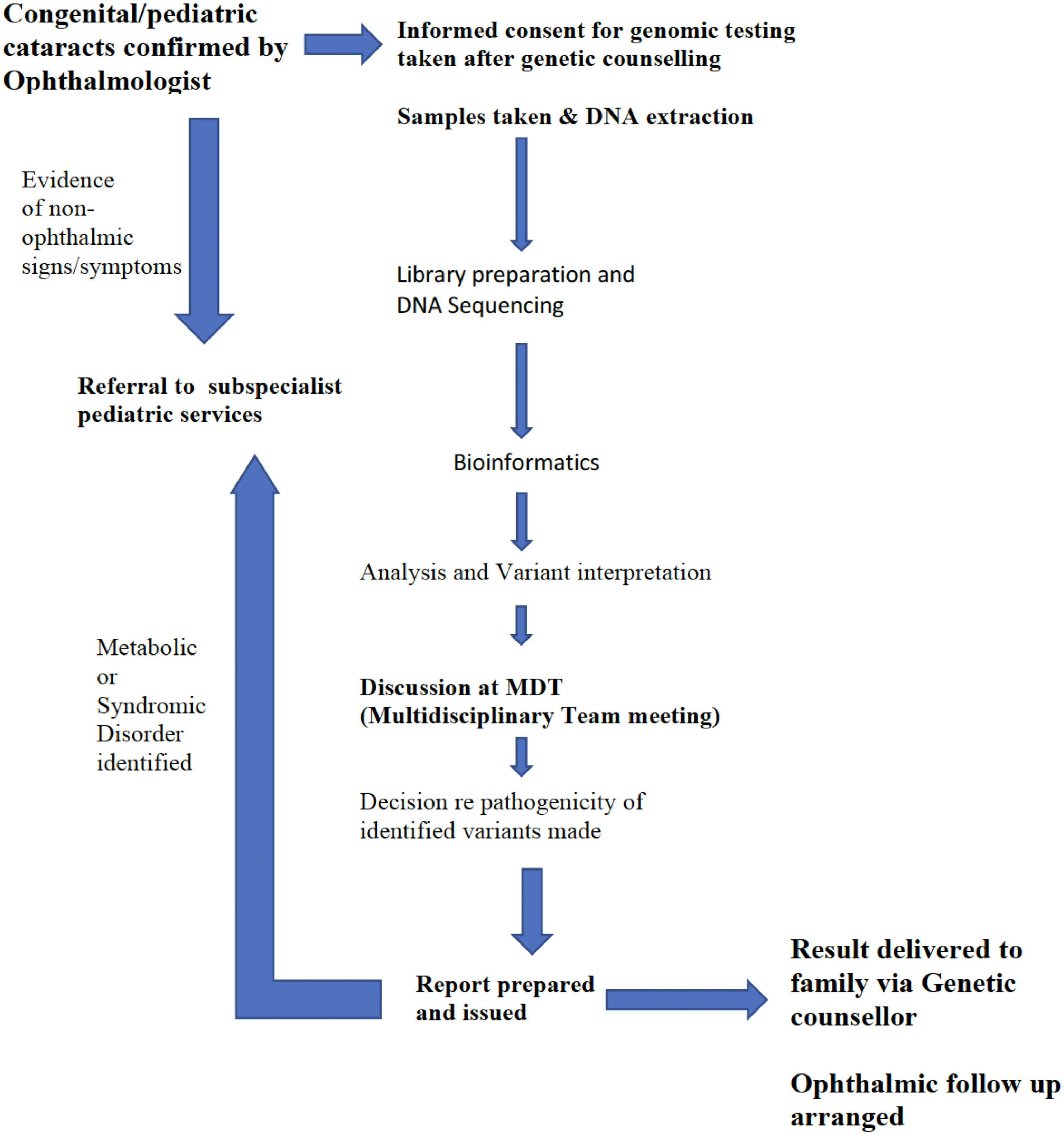 FIGURE 1 dummy alt text