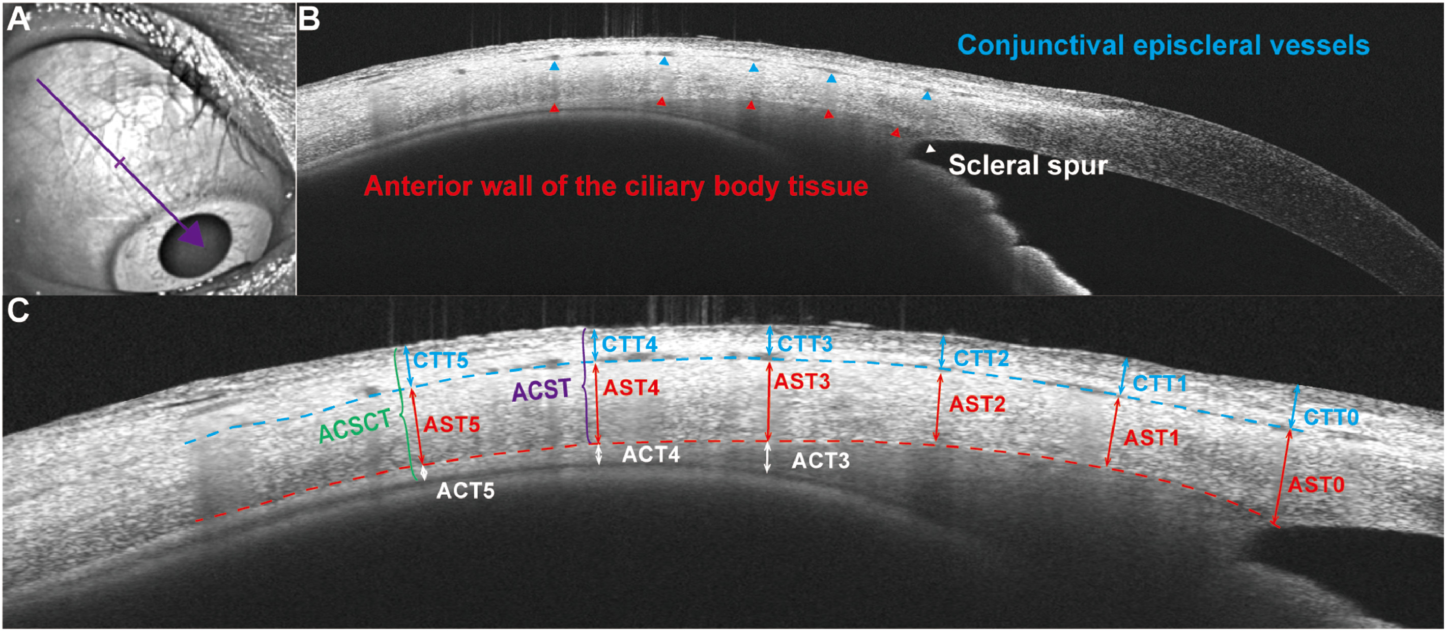 FIGURE 1 dummy alt text