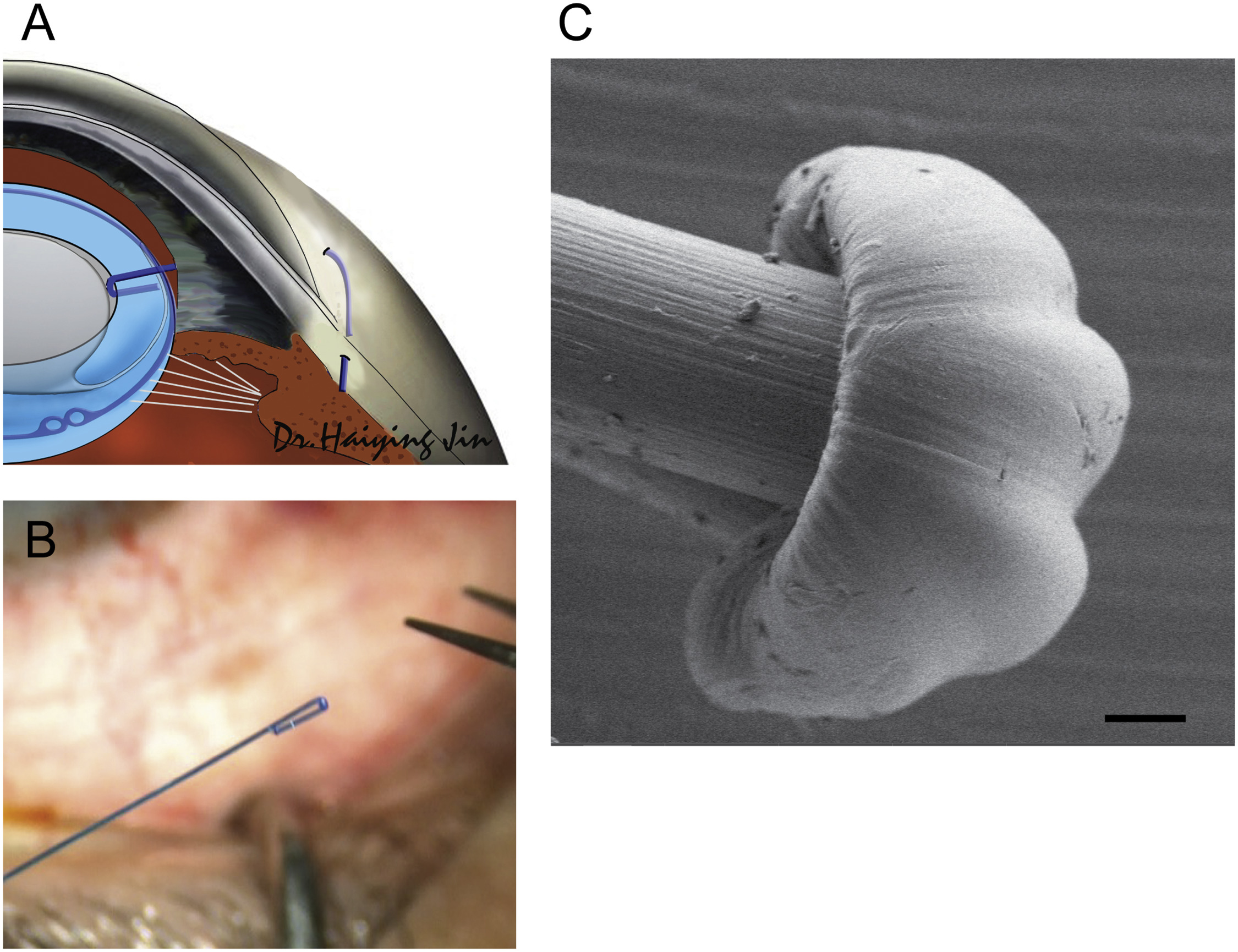 FIGURE 1 dummy alt text
