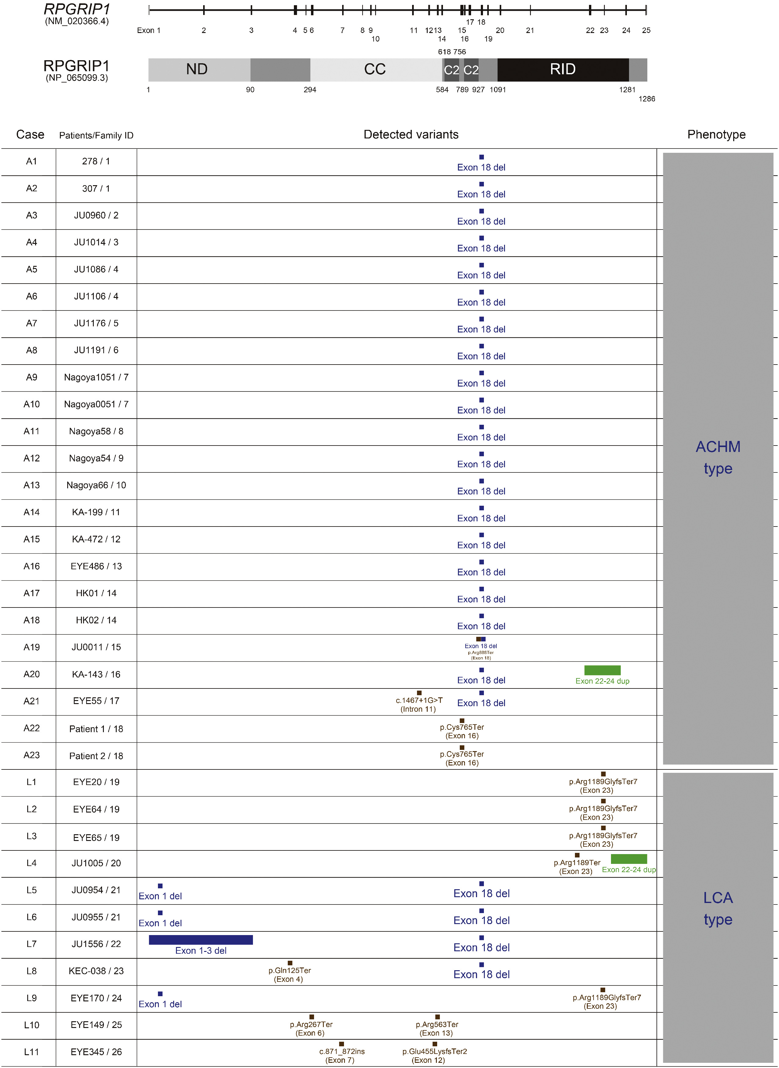 FIGURE 1 dummy alt text