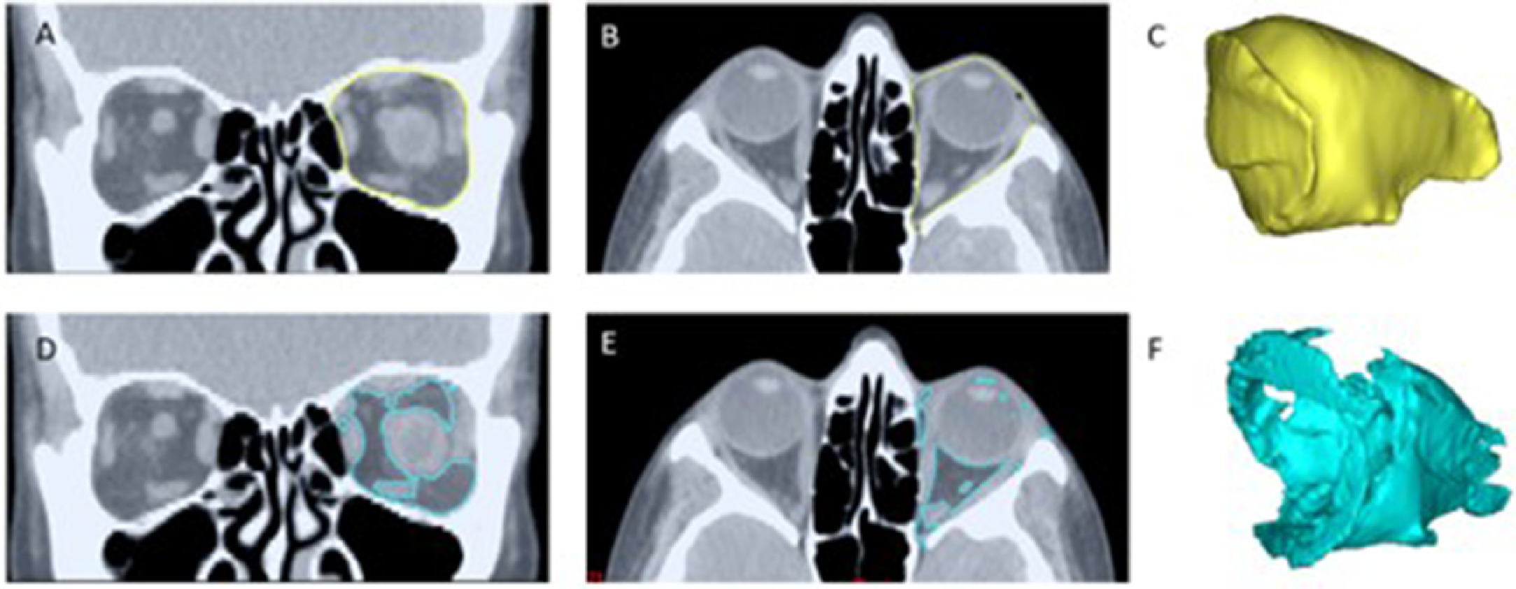 FIGURE 1 dummy alt text