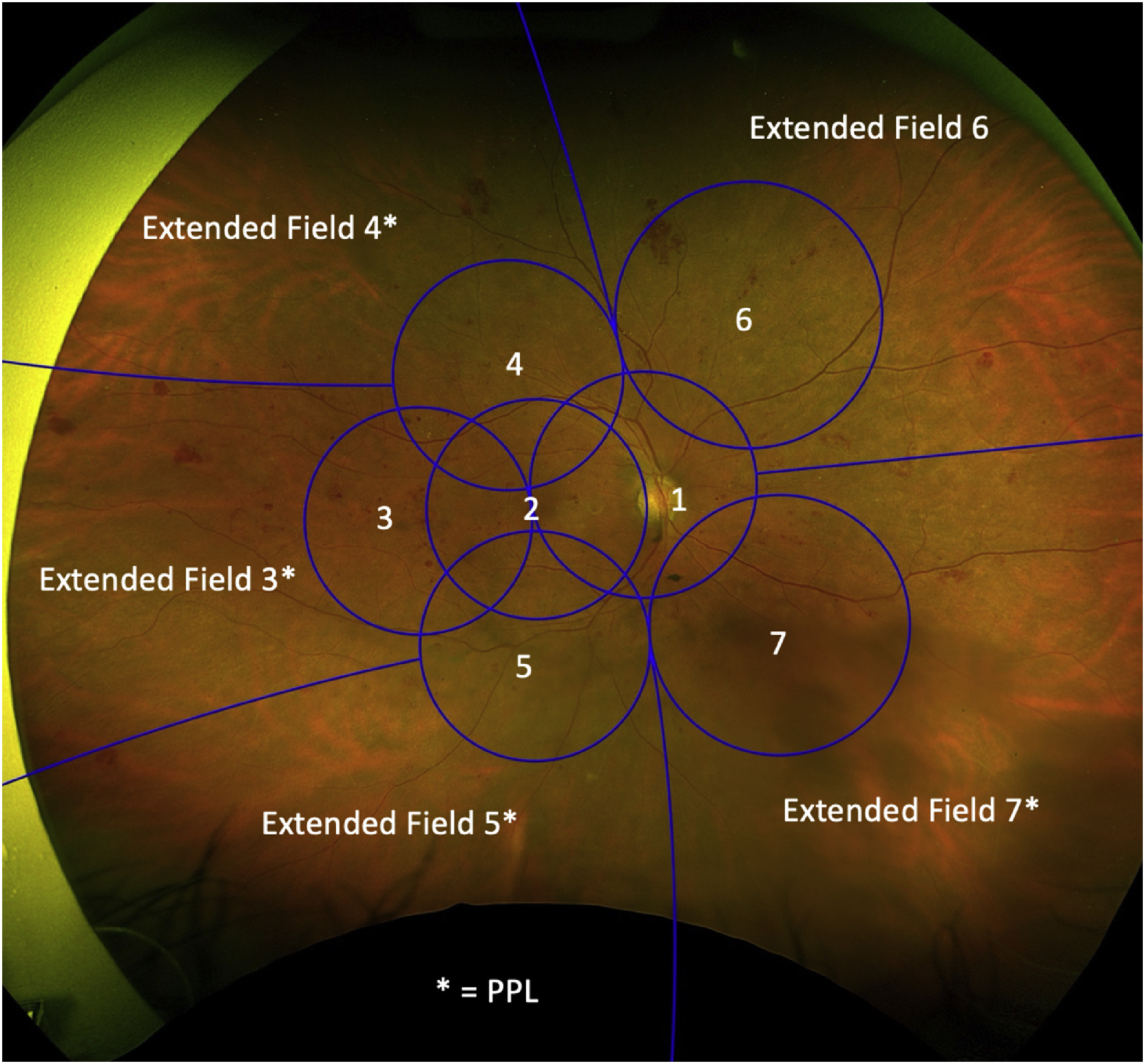 Figure 2 dummy alt text
