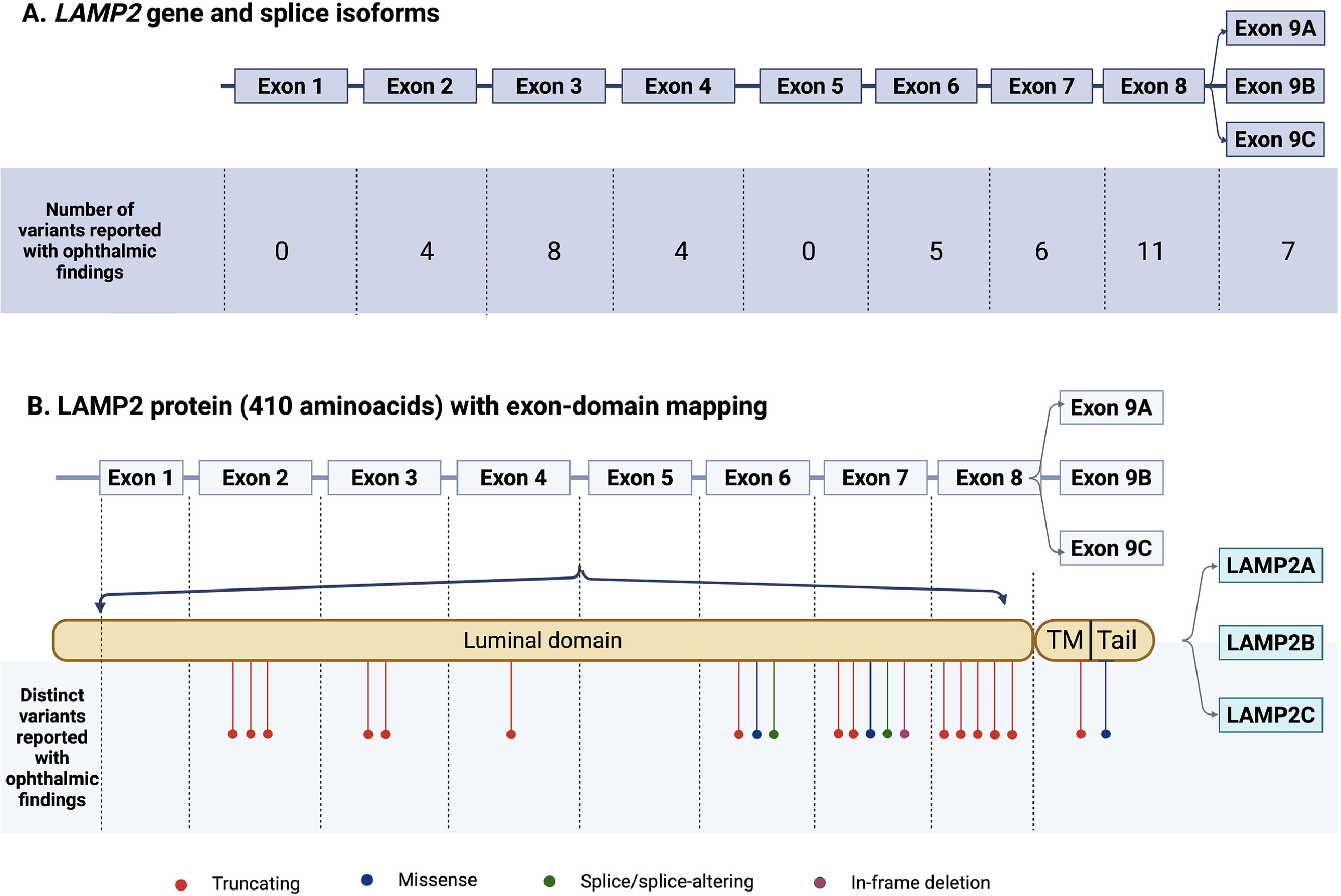 FIGURE 2 dummy alt text
