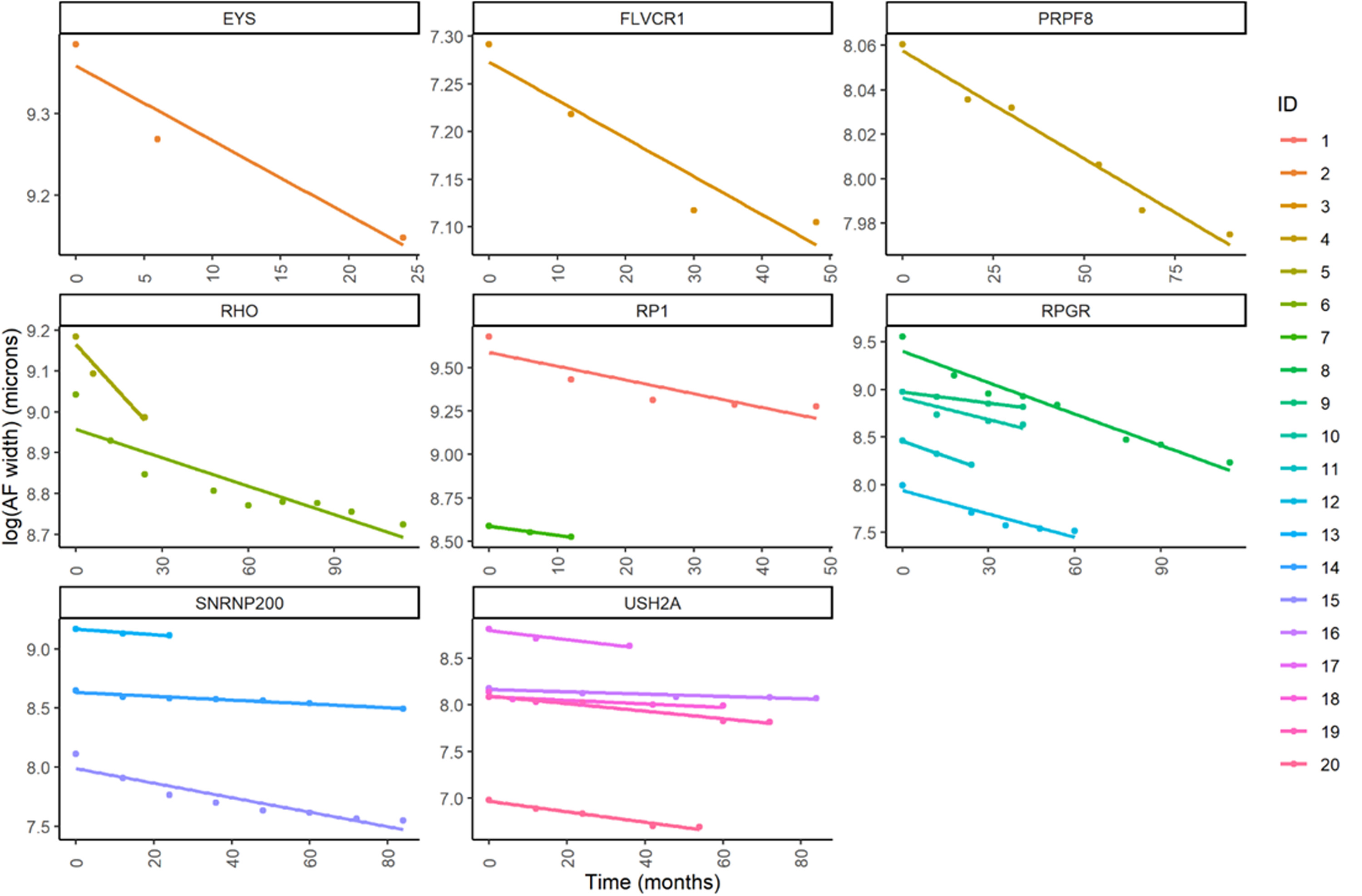 FIGURE 4 dummy alt text